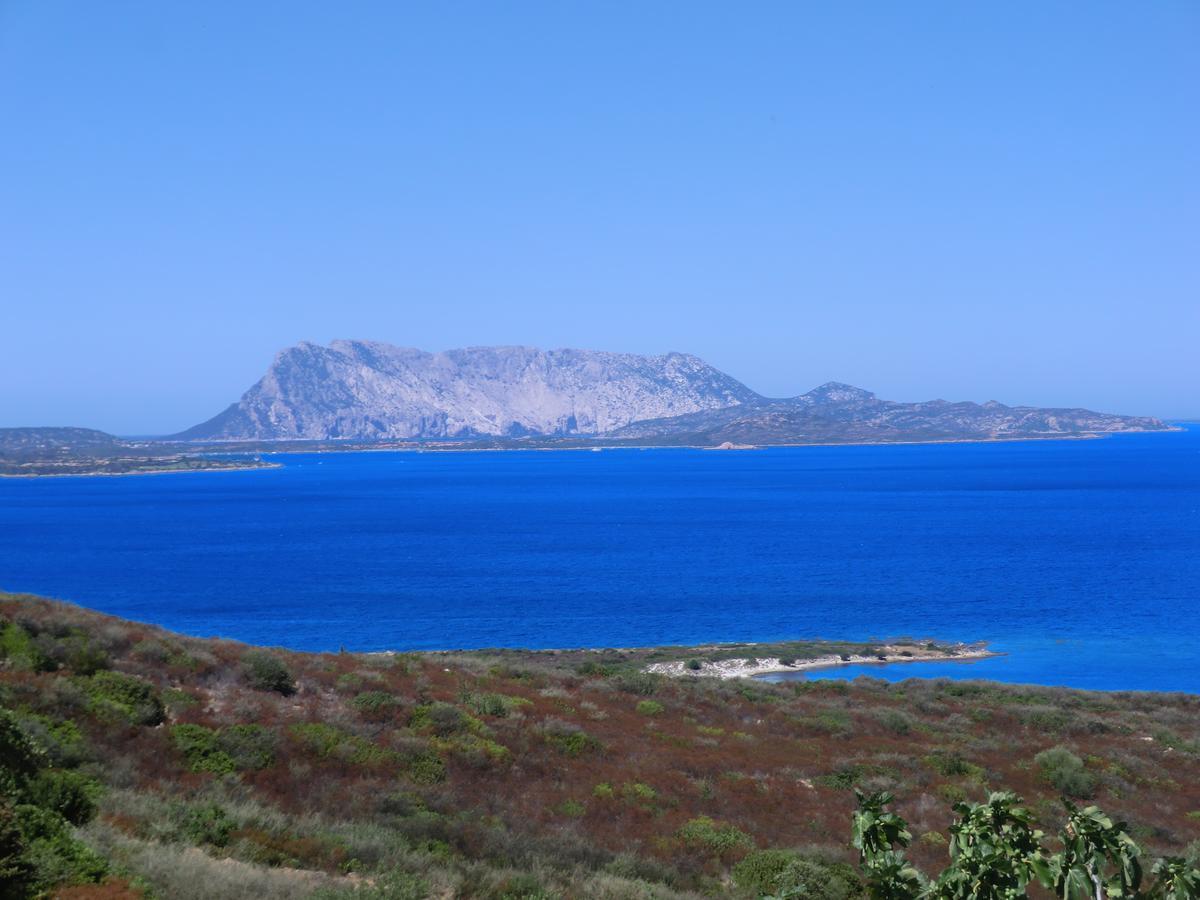 فيلا Villino Caddu سان تيودورو المظهر الخارجي الصورة